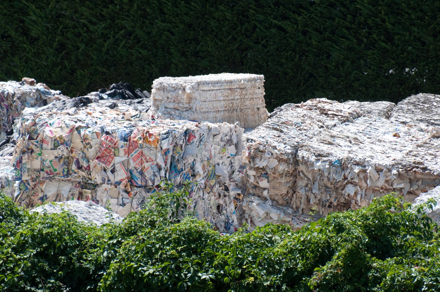 Paper Recycling In Ponte A Serraglio