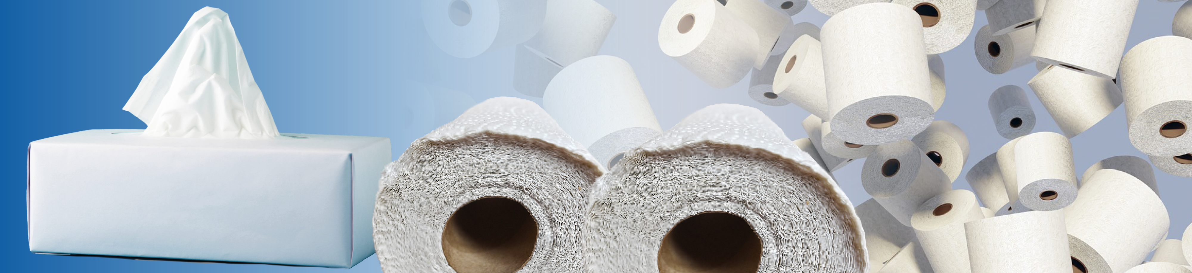 Essity Banner 1920X440 2